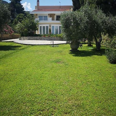 Villa Vasiliki PalaiónTsiflíkion Esterno foto