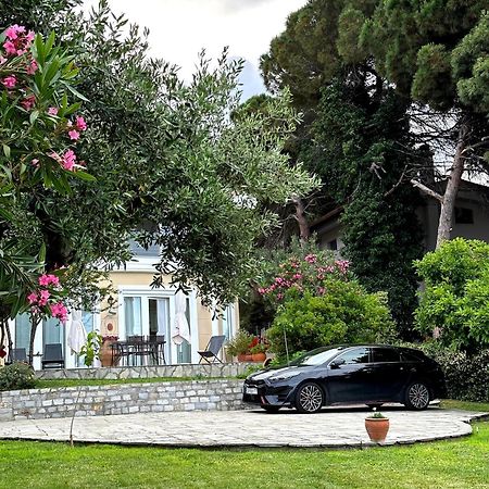 Villa Vasiliki PalaiónTsiflíkion Esterno foto