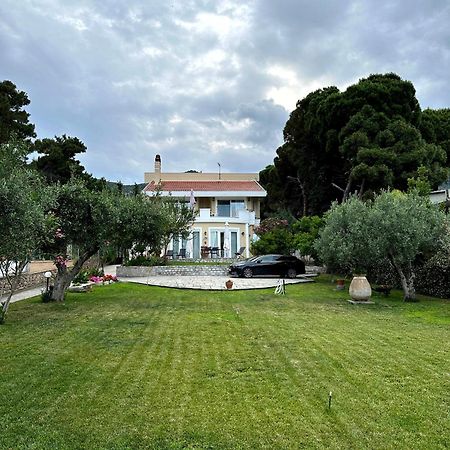 Villa Vasiliki PalaiónTsiflíkion Esterno foto