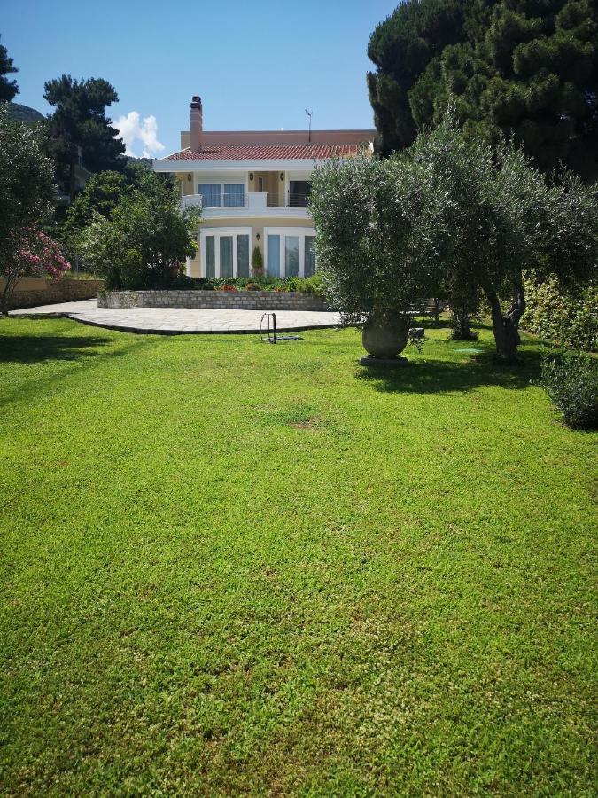 Villa Vasiliki PalaiónTsiflíkion Esterno foto