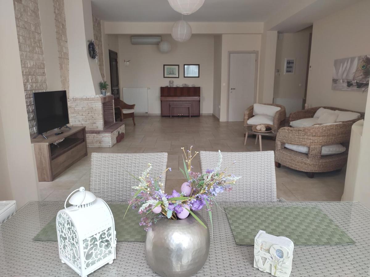 Villa Vasiliki PalaiónTsiflíkion Esterno foto