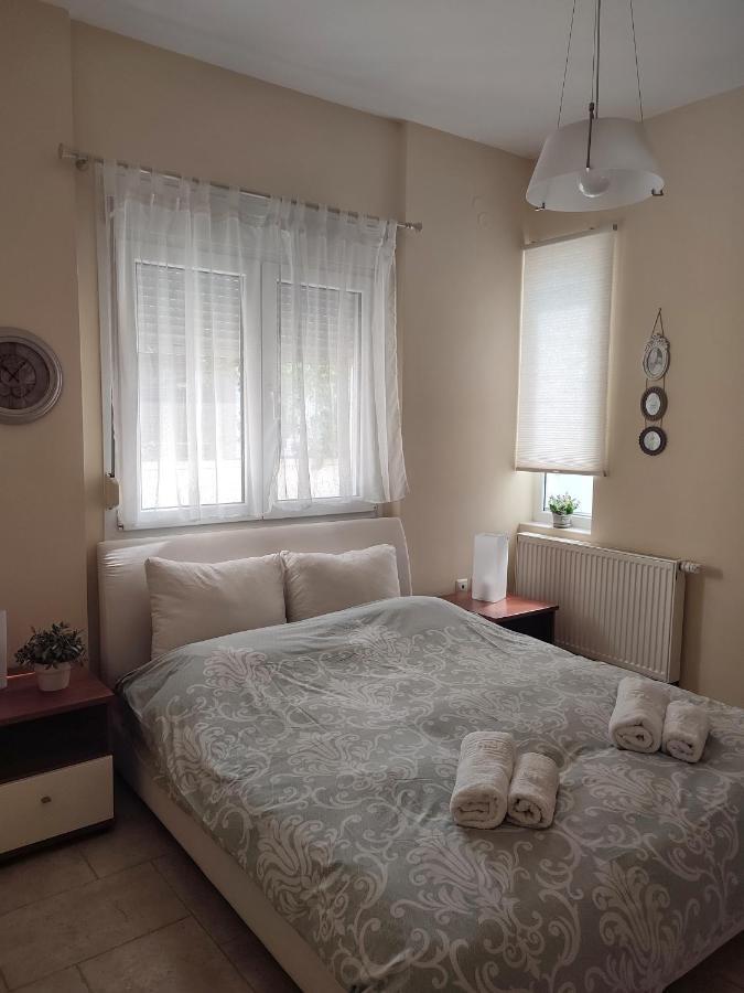 Villa Vasiliki PalaiónTsiflíkion Esterno foto