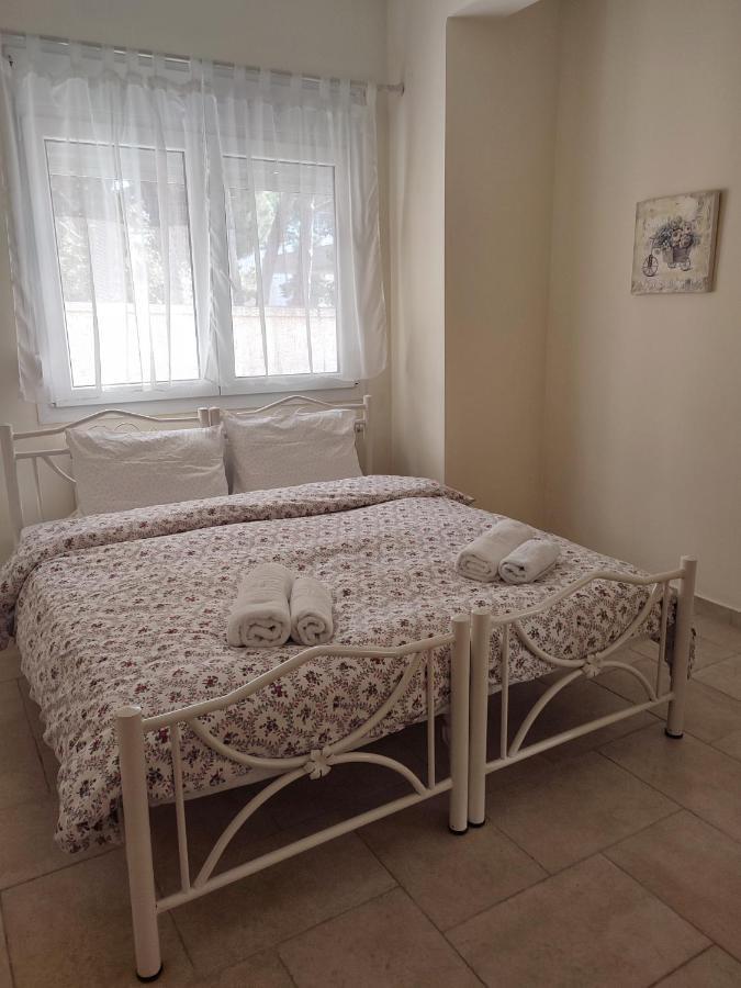 Villa Vasiliki PalaiónTsiflíkion Esterno foto