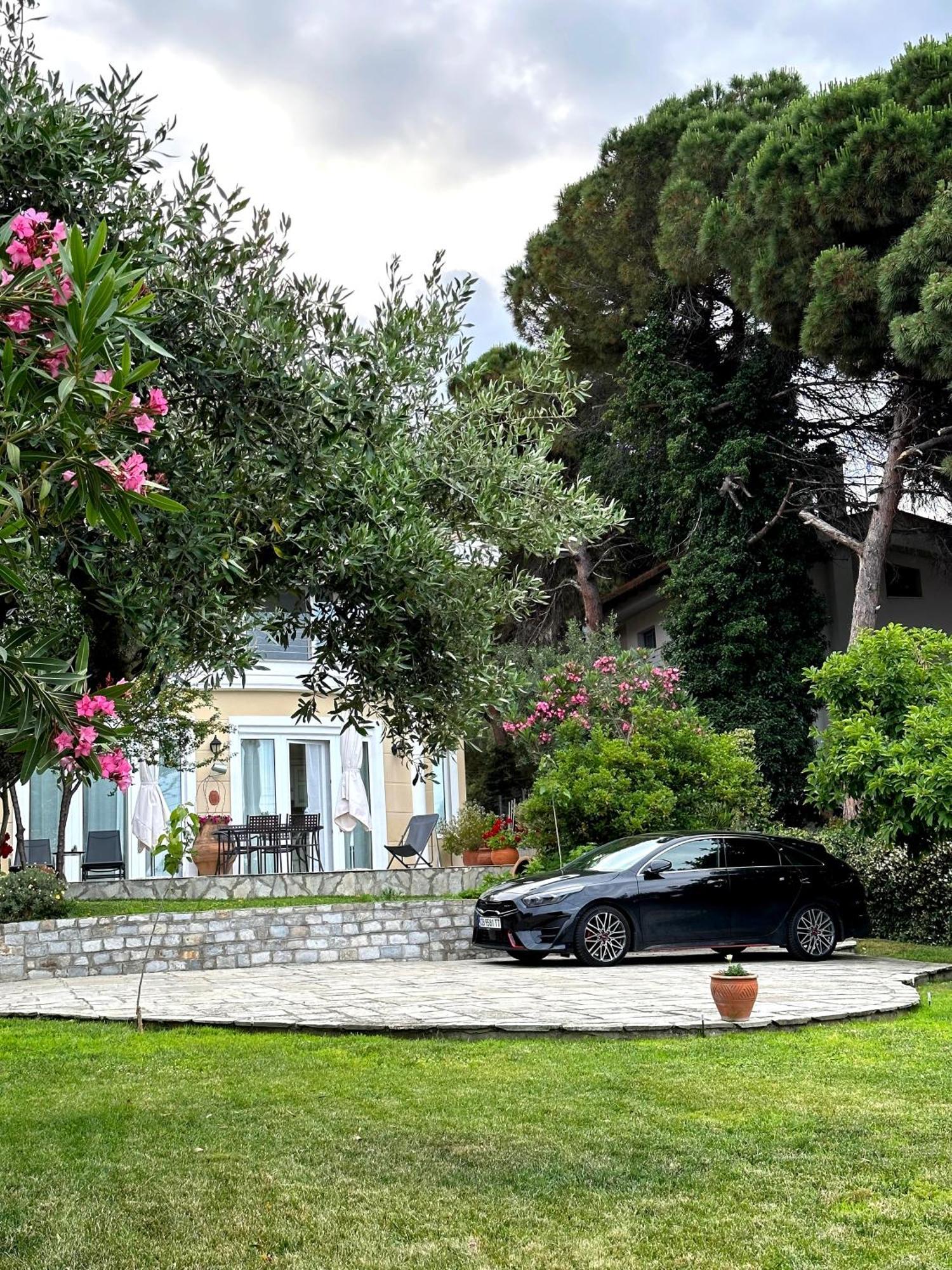 Villa Vasiliki PalaiónTsiflíkion Esterno foto