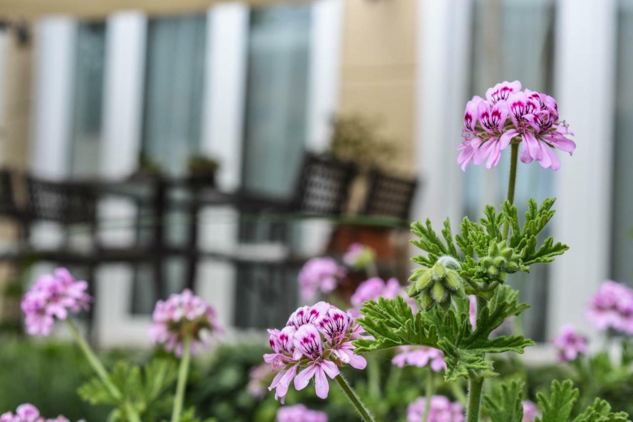 Villa Vasiliki PalaiónTsiflíkion Esterno foto